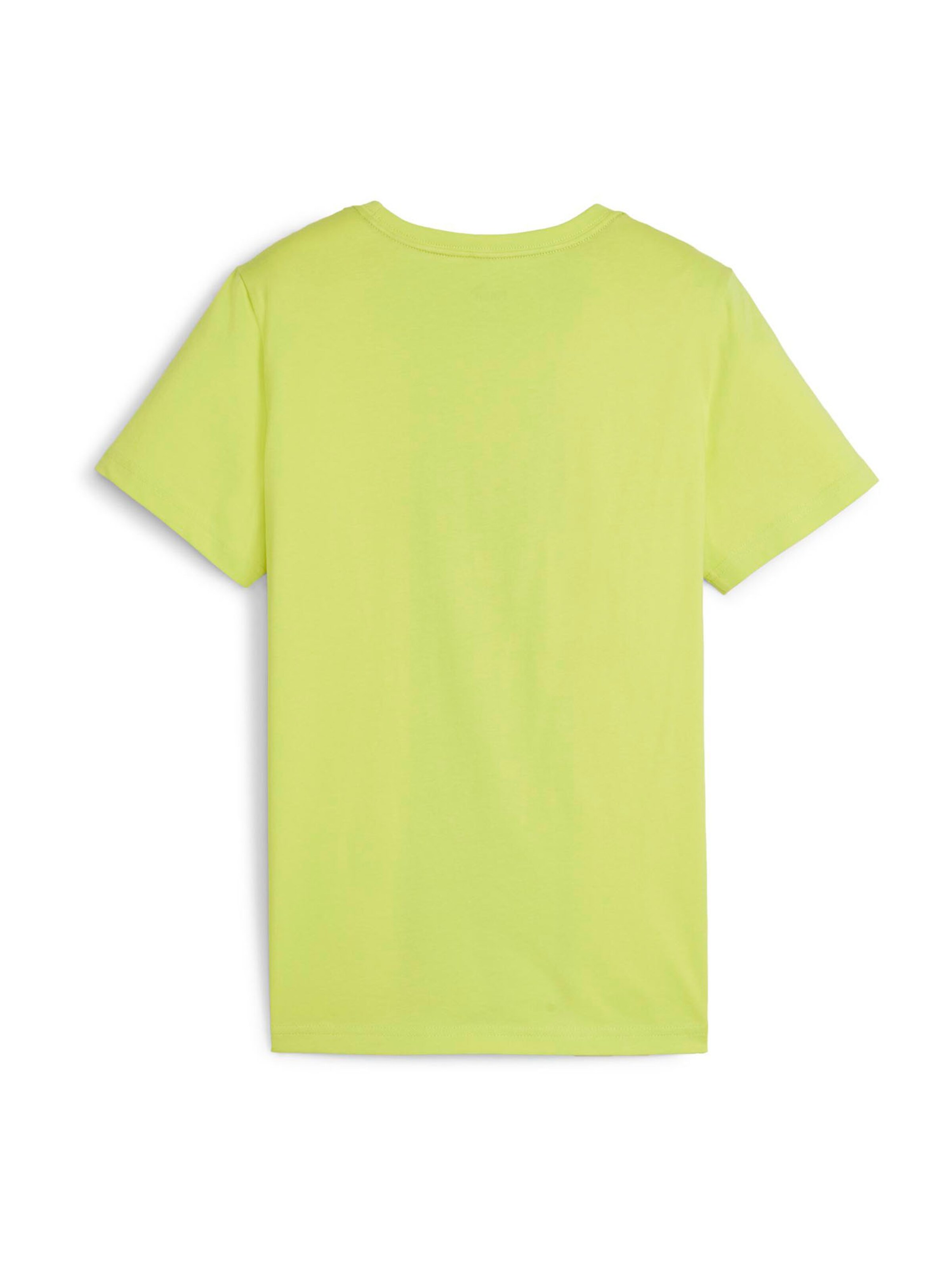 PUMA Shirt 'Essentials' in Groen