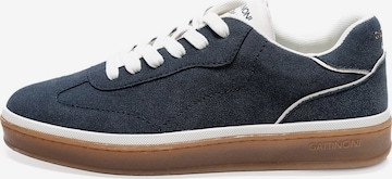 Sneaker bassa di Gattinoni in blu: frontale