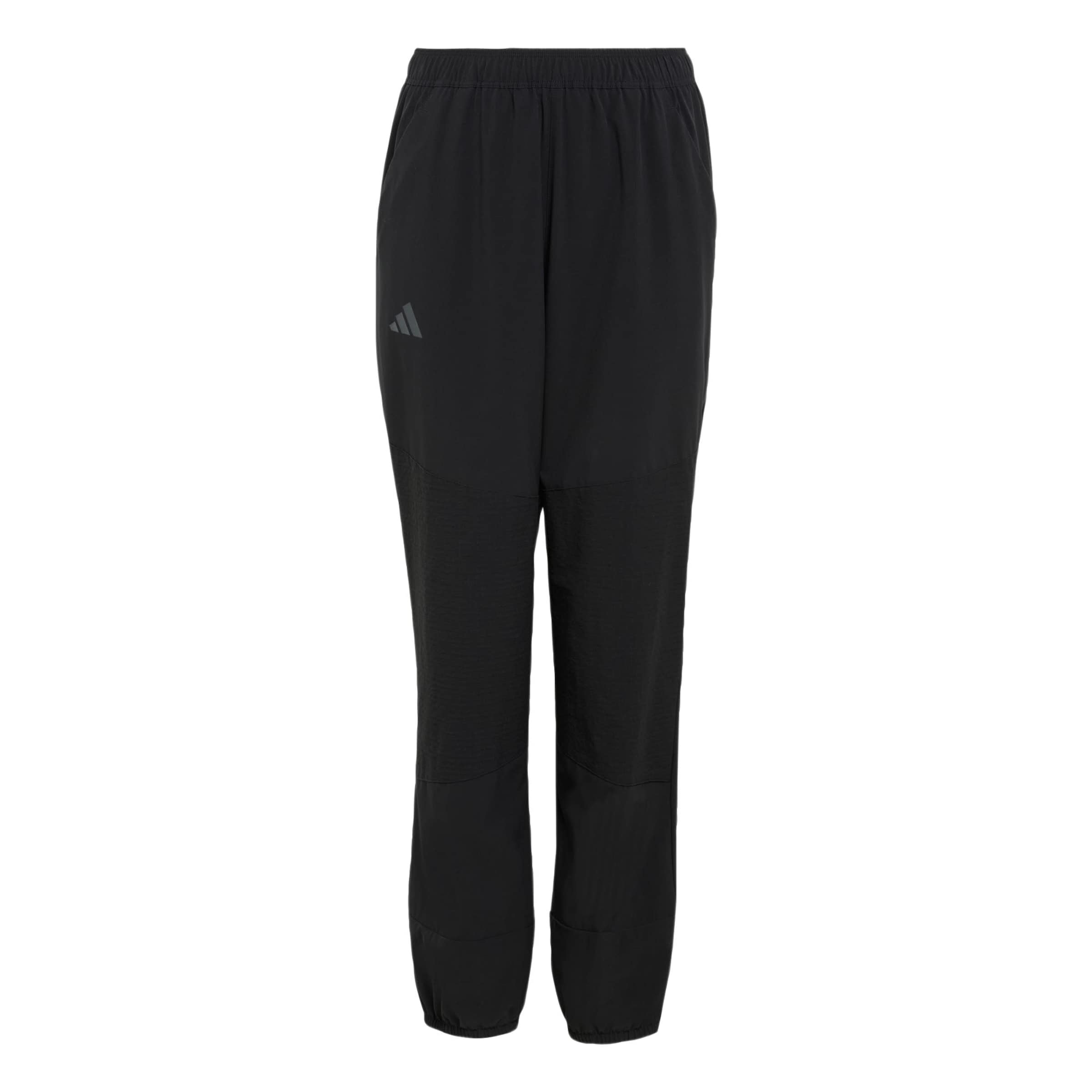 Effilé Pantalon d'extérieur ADIDAS TERREX en noir : devant