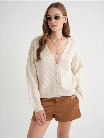 MixRay Knit Cardigan in Beige