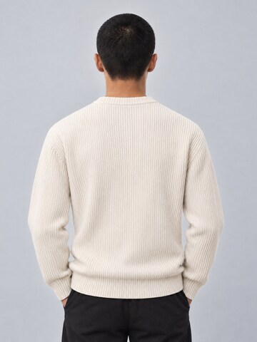 Lowkey - Jersey 'Heavyweight Knit Sweater Strickpullover' en beige