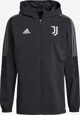 ADIDAS SPORTSWEAR Sportjacke 'Juventus Turin' in Grau: predná strana