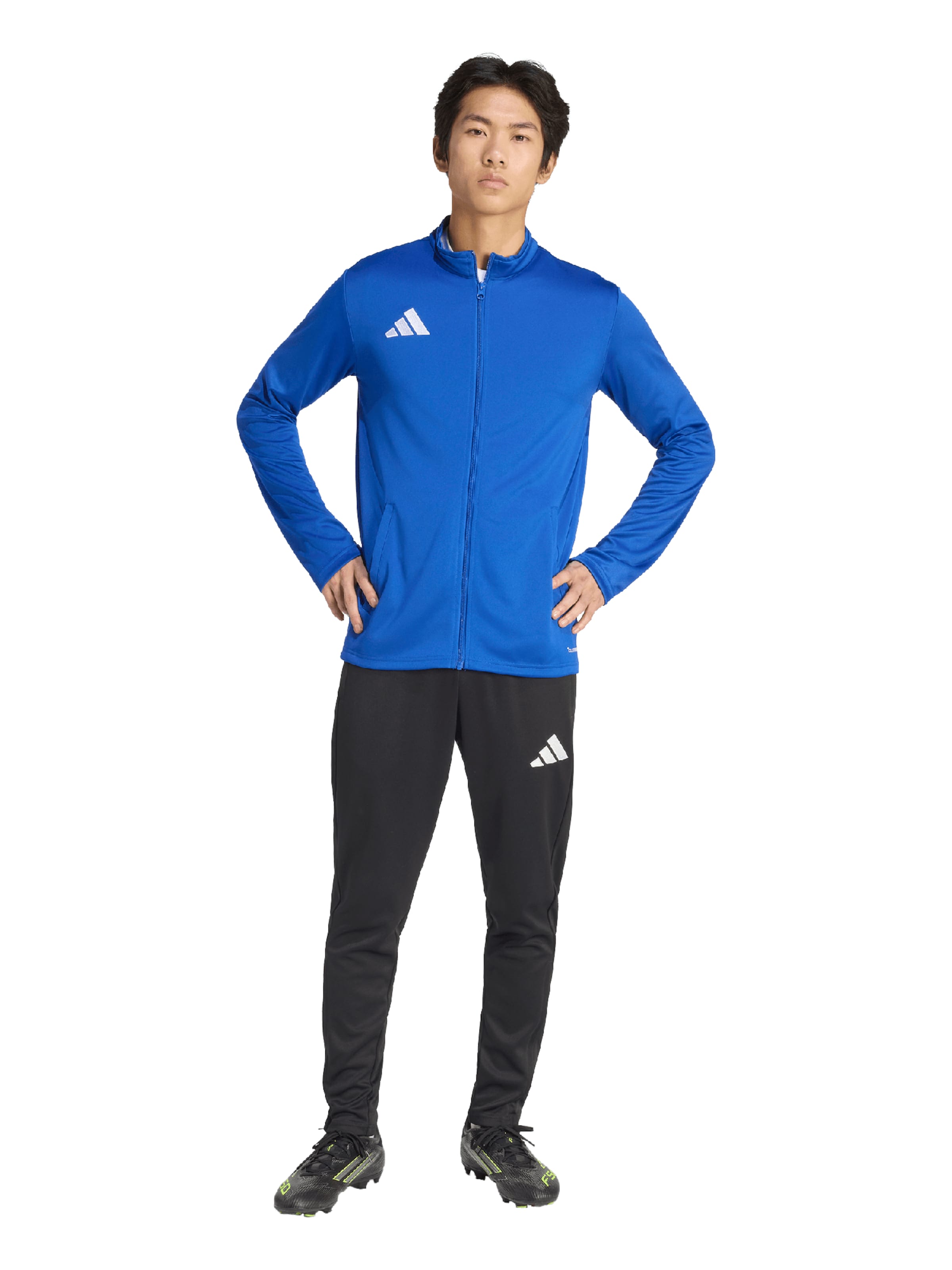 ADIDAS PERFORMANCE Training jacket 'ENT26' in Blue