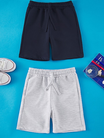 Trendyol Regular Pants in Blue