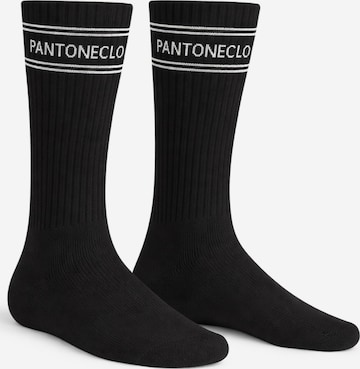 Chaussettes 'Pantoneclo Men’s Socks' PANTONECLO en noir : devant