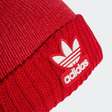 Căciulă 'Adicolor Cuff' de la ADIDAS ORIGINALS pe roșu