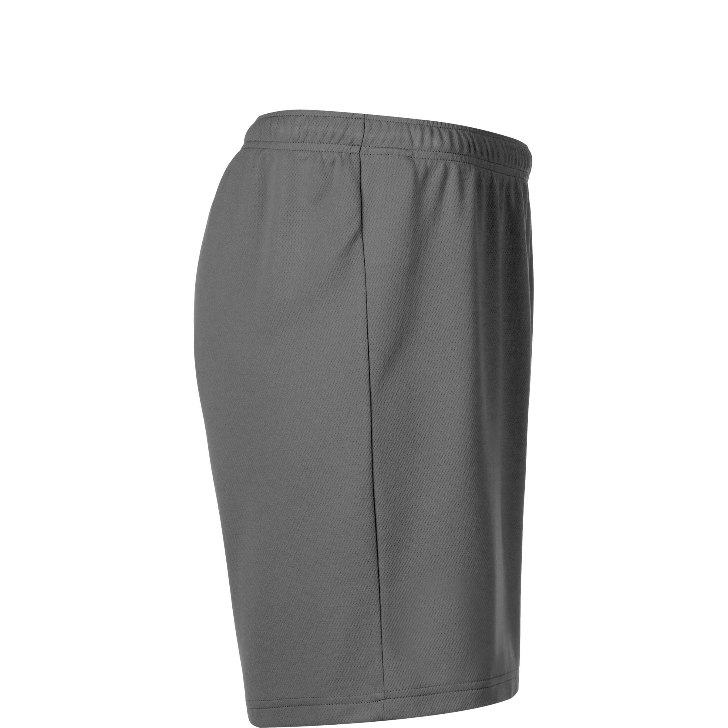 PUMA Regular Workout Pants 'TeamRise' in Grey