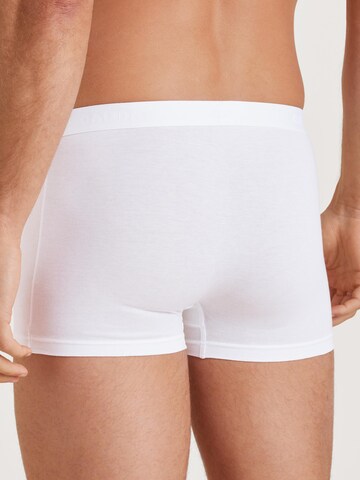 CALIDA Boxer shorts 'Evolution' in White