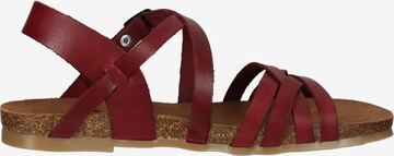 COSMOS COMFORT Strap Sandals in Red