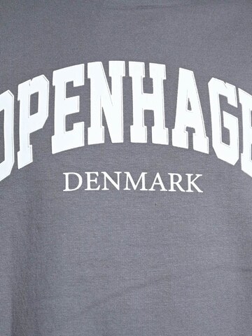 BLUE EFFECT Sweatshirt in Grey