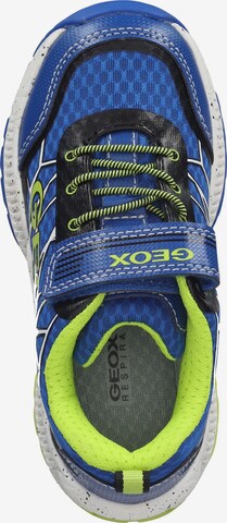 GEOX Sneakers in Blue