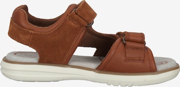 GEOX Sandals & Slippers in Brown