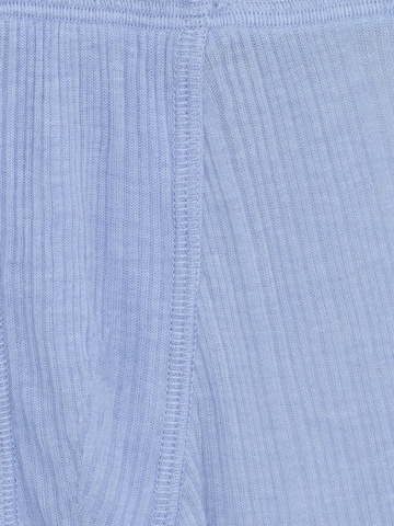 ZUBEK - Calzoncillo en azul