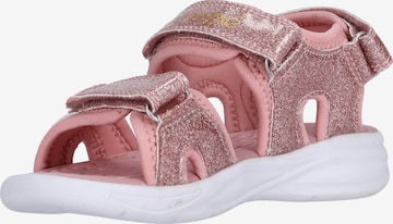 ZigZag Sandals 'Flour' in Pink