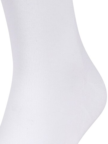 FALKE Socks 'Run' in White