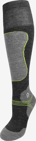 Polar Husky Knee High Socks in Grey: front