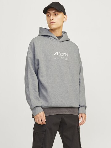 aprel Sweatshirt in Grijs: voorkant