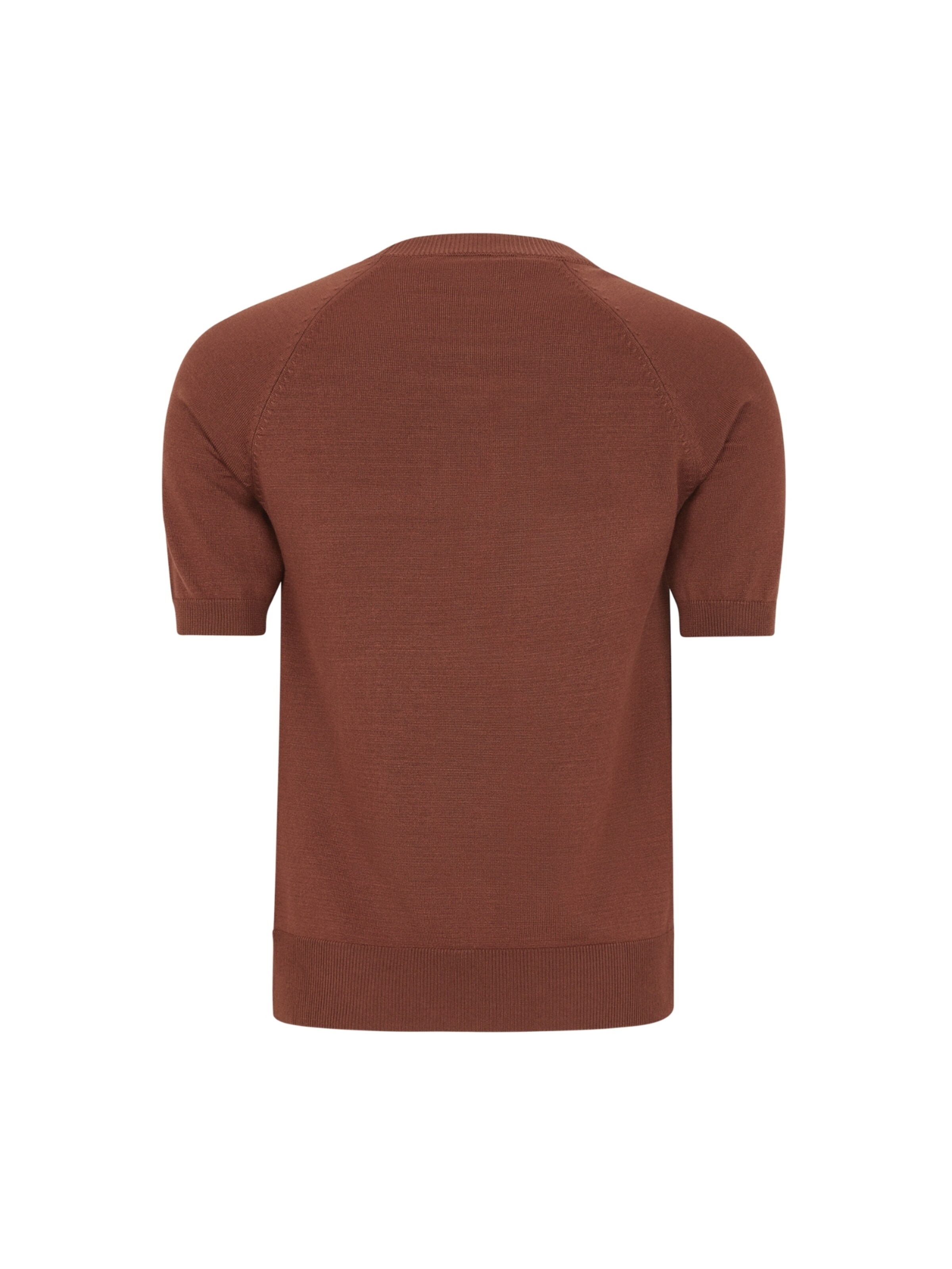 Soft Rebels Sweater 'Marla' in Brown