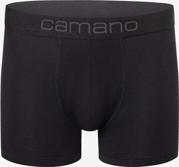 camano Boxer shorts in Black: front