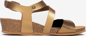 Bayton Sandalen met riem 'Reus' in Goud