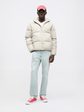 pilka HOLLISTER Žieminė striukė