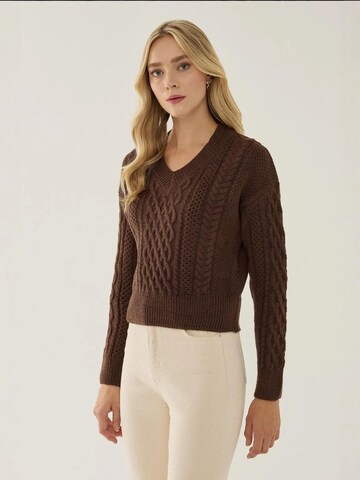 Hiccup - Pullover em castanho