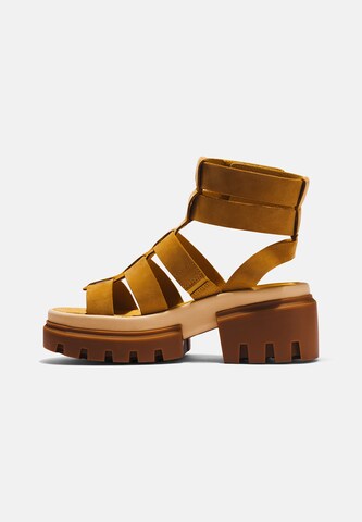 TIMBERLAND - Sandalias en marrón