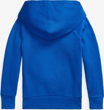 Polo Ralph Lauren Sweatshirt in Blue