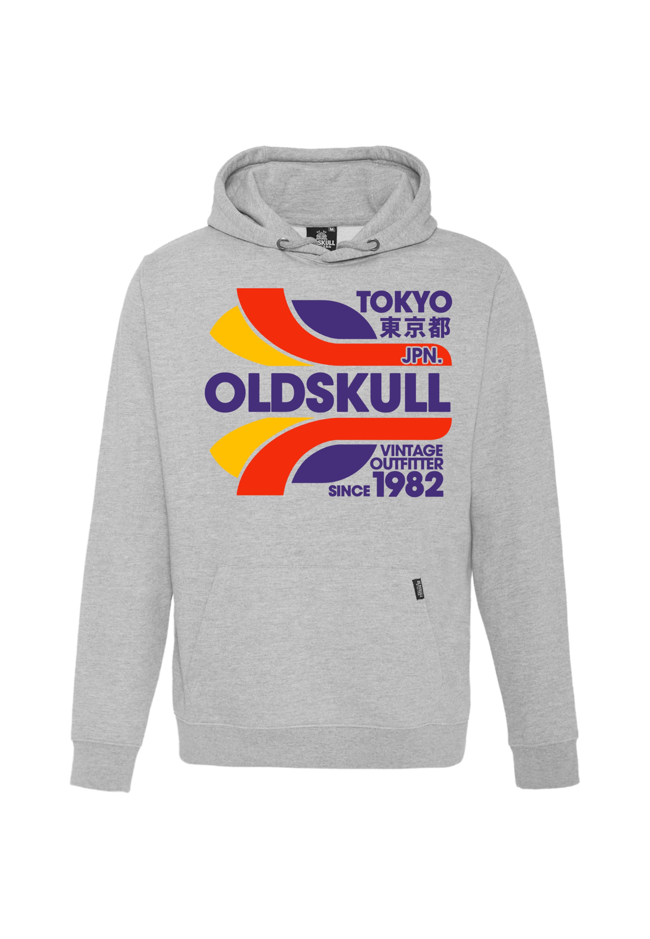 Oldskull Sweatshirt 'Retro Tokyopolis' in Grey: front