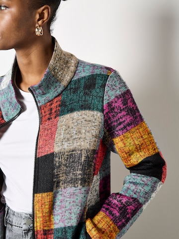Veste bavaroise ' ' Apricot en gris