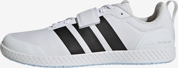 ADIDAS PERFORMANCE - Calzado deportivo en blanco: frente