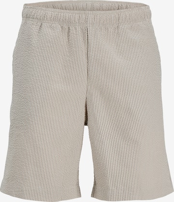 Regular Pantalon 'JREBHAVEN' JJ Rebel en marron : devant