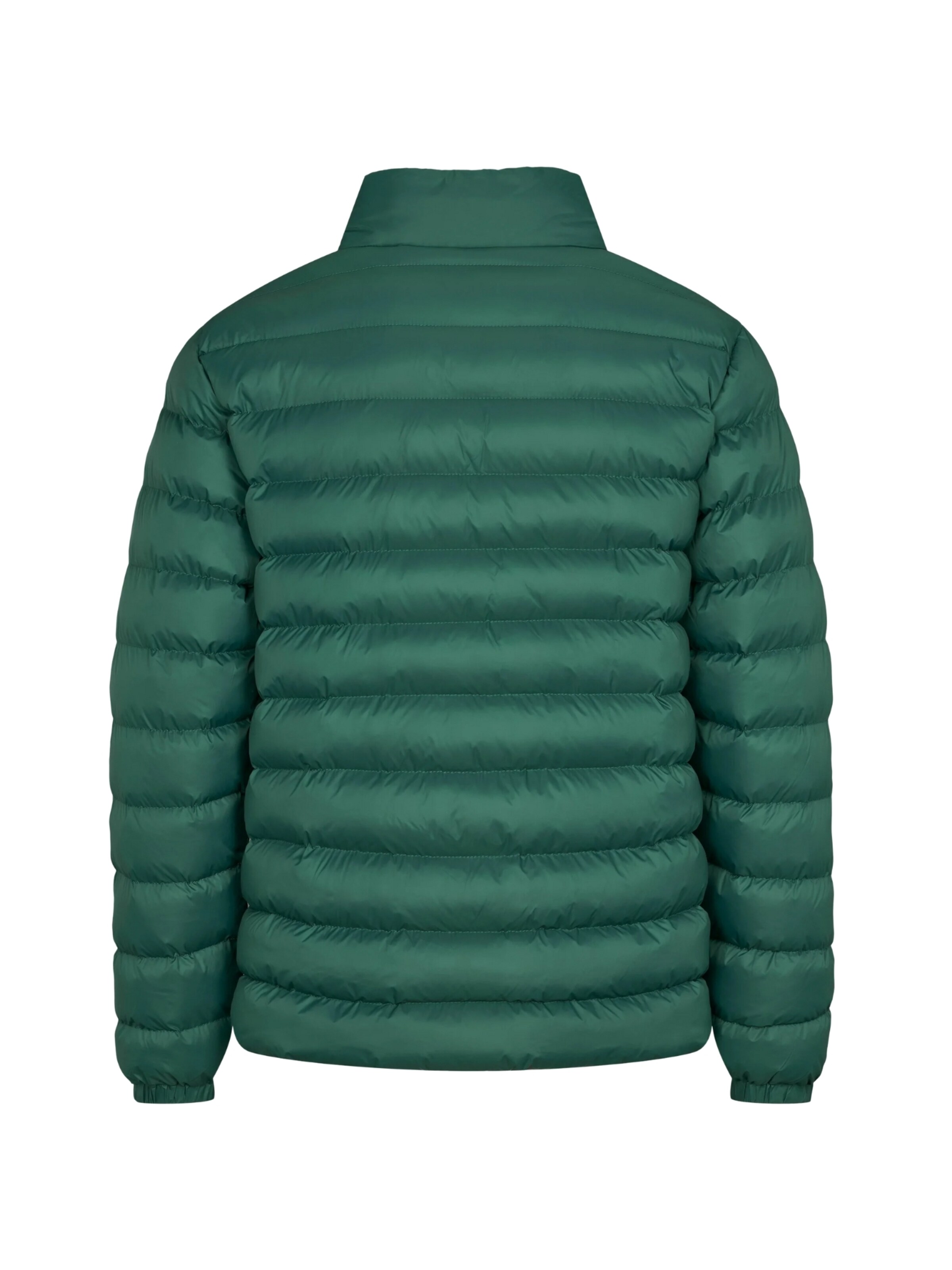 U.S. POLO ASSN. Välikausitakki 'Anton' värissä vihreä