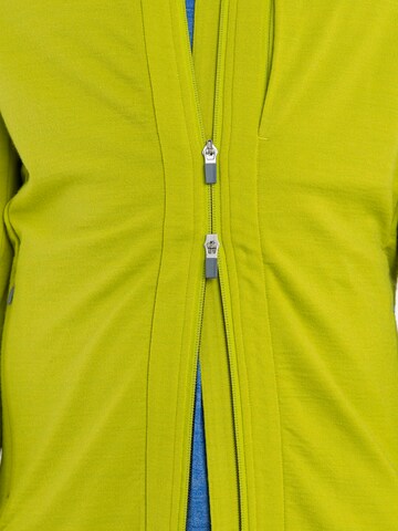 ICEBREAKER Athletic Zip-Up Hoodie 'Quantum' in Green