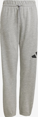 ADIDAS SPORTSWEAR Спортивные штаны 'Essentials' в Серый: спереди