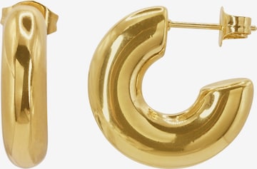 Boucles d'oreilles 'Caius' Heideman en or : devant