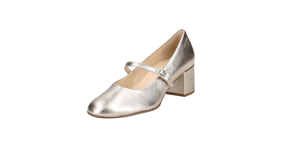 Högl Pumps in Zilver | ABOUT YOU Högl Pumps in Zilver | ABOUT YOU