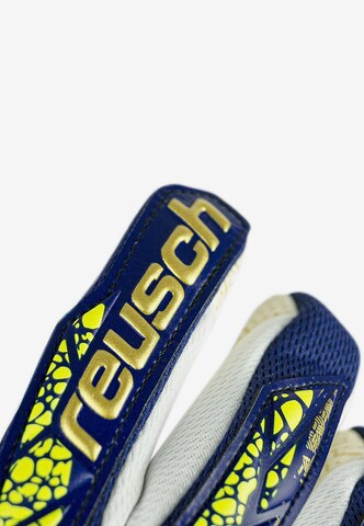 REUSCH Athletic Gloves 'Attrakt Gold X GluePrint' in Blue