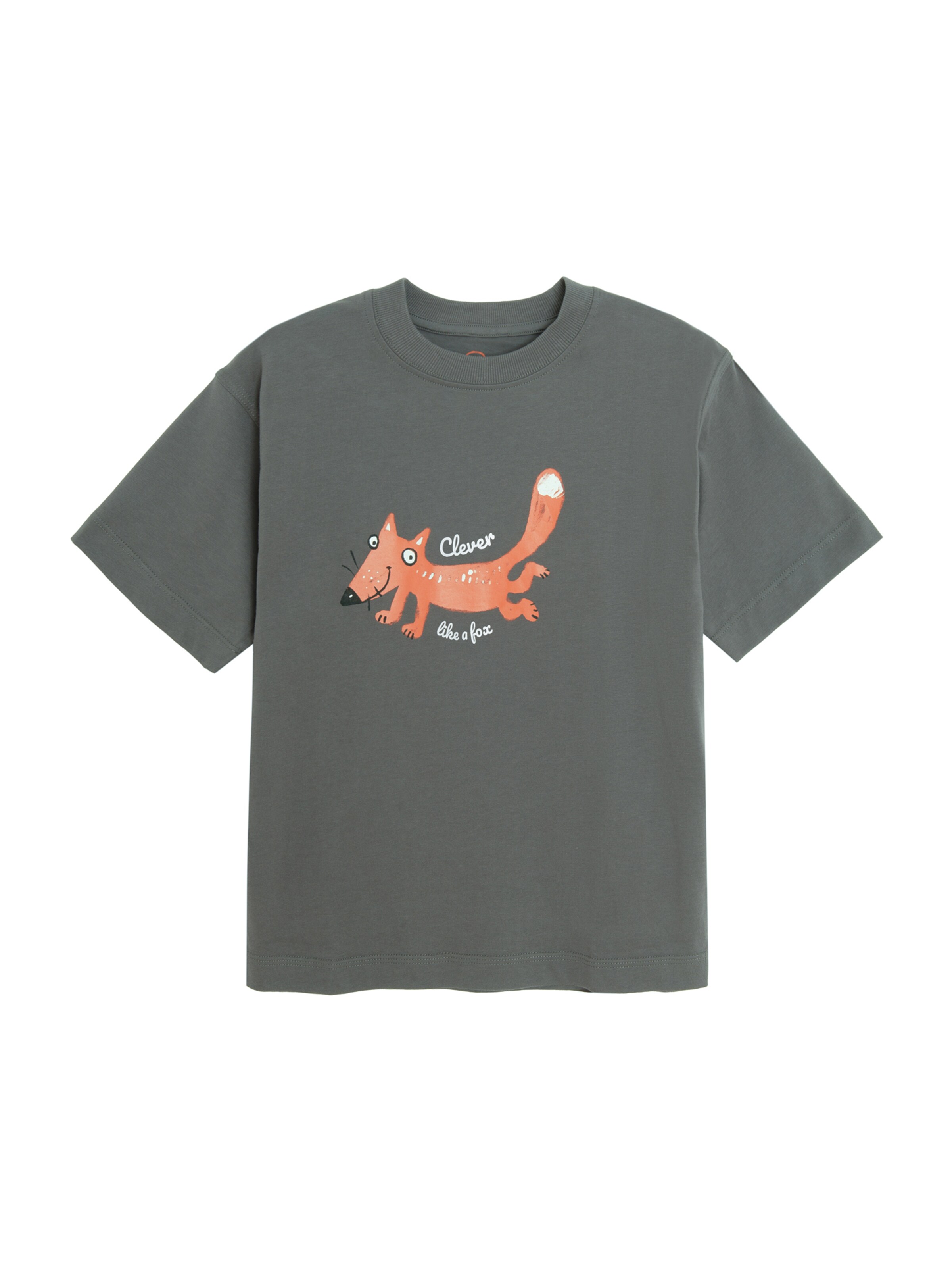 Cool Club - Camisola em cinzento: frente