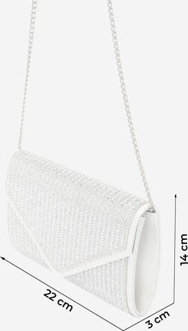 Pochette 'TREDRI' ALDO en argent