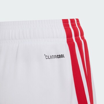 ADIDAS PERFORMANCEregular Sportske hlače 'Ajax 26/27' - bijela boja