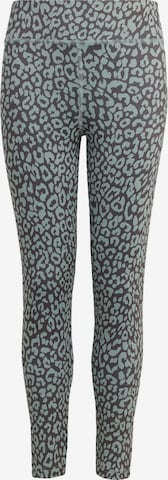 ADIDAS SPORTSWEAR Sportbroek 'Future Icons' in Groen: voorkant