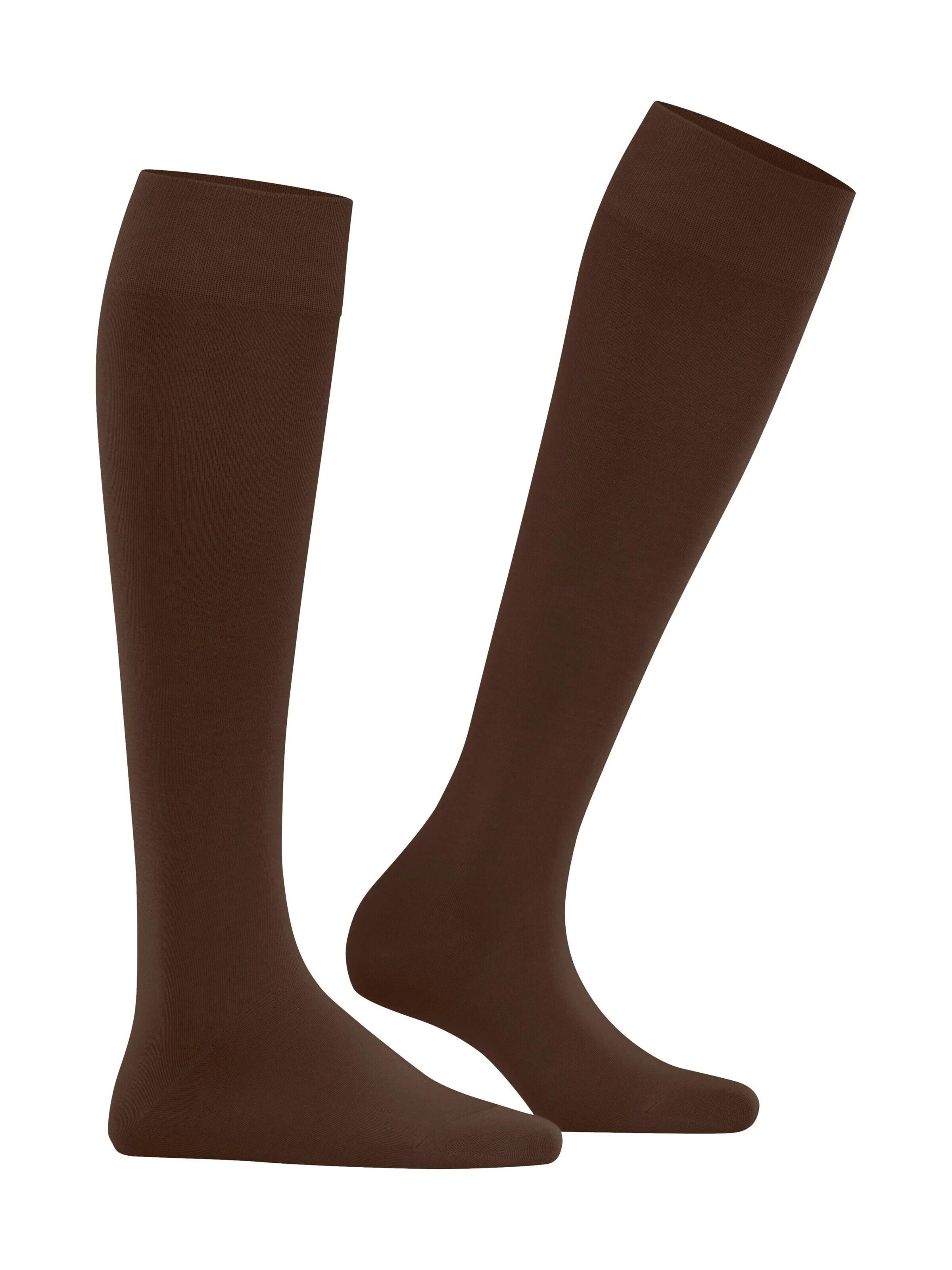FALKE Kniestrümpfe 'Cotton Touch'‌‌‌‌ in Braun