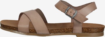 Sandalo di COSMOS COMFORT in marrone