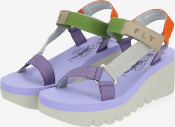 FLY LONDON Strap Sandals in Mixed colors