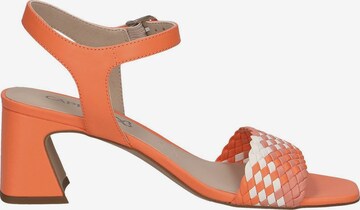 CAPRICE Sandale in Orange