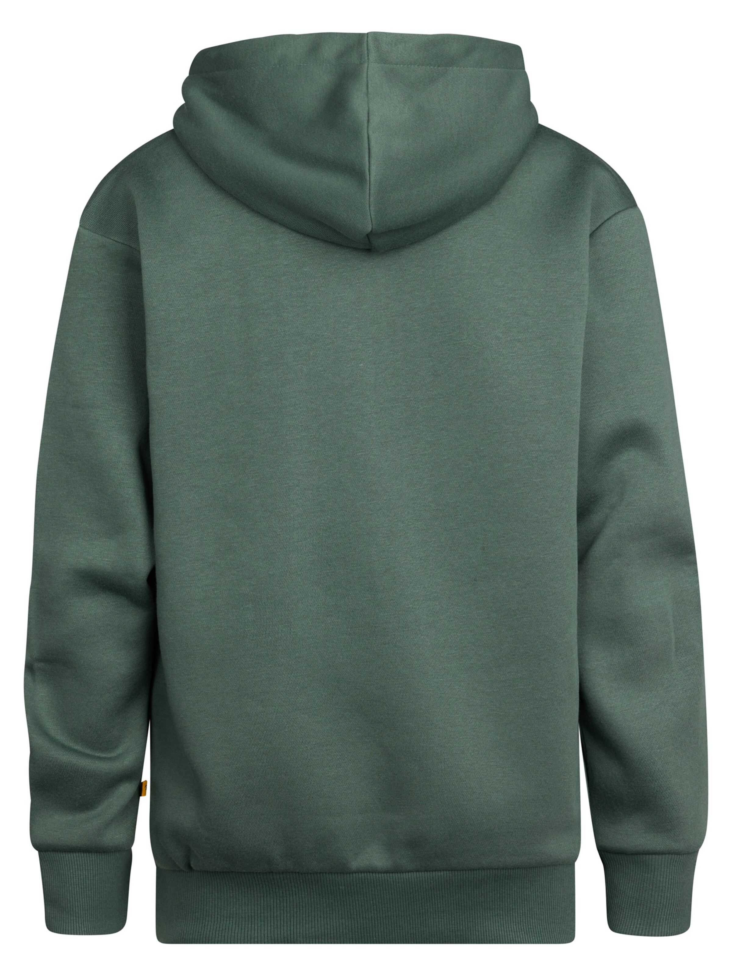 Petrol Industries Sweatshirt 'Ozark' in Green