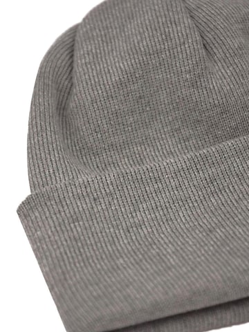 Lou-i Beanie in Grey