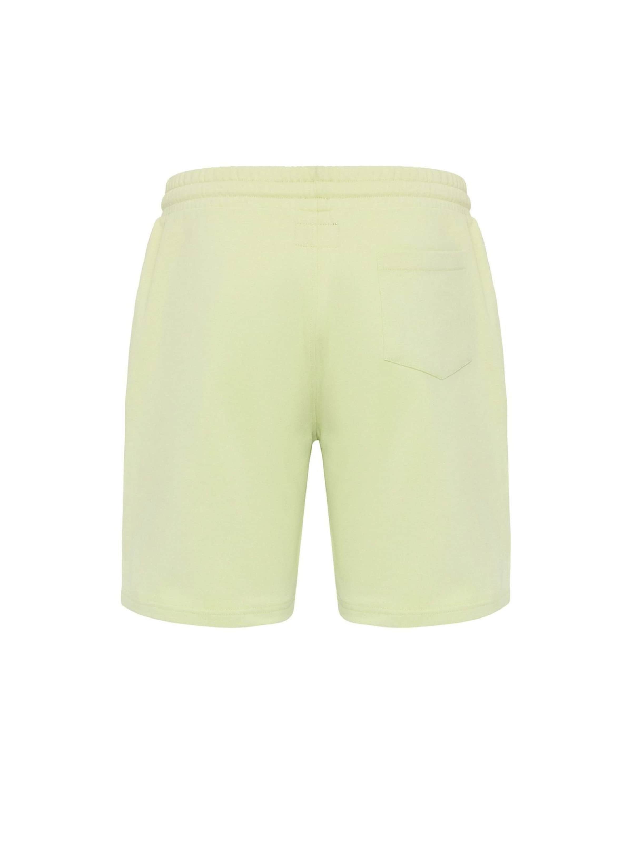 regular Pantaloni di Williot in verde