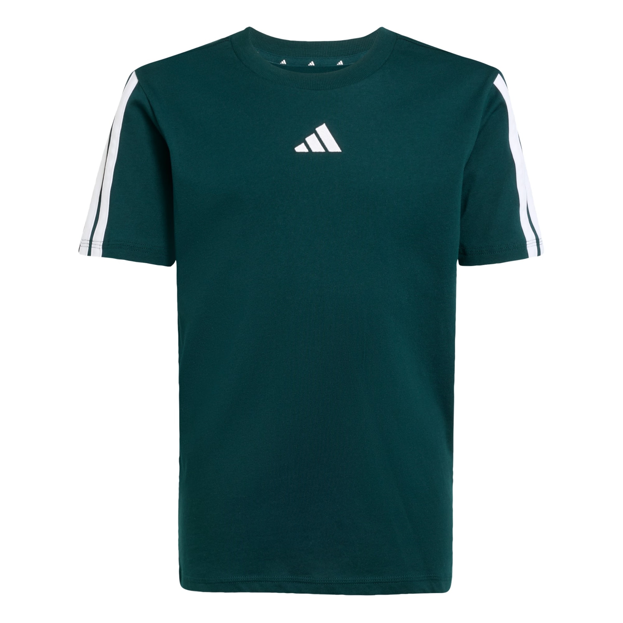 ADIDAS SPORTSWEAR - Camiseta funcional 'Essentials' en verde: frente